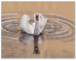 Concept & Creatie Concept & Creatie